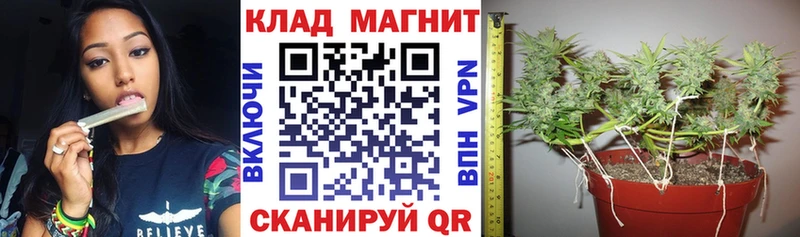 A-PVP Бобров