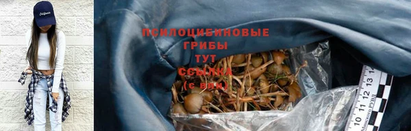 гидра Баксан