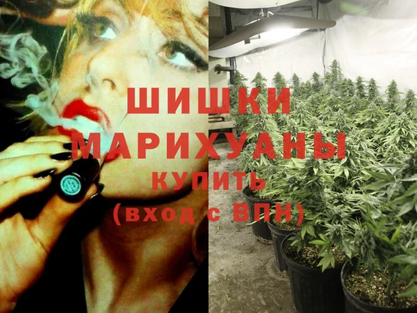 стаф Няндома