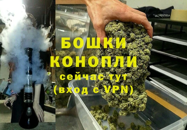 ПСИЛОЦИБИНОВЫЕ ГРИБЫ Алапаевск