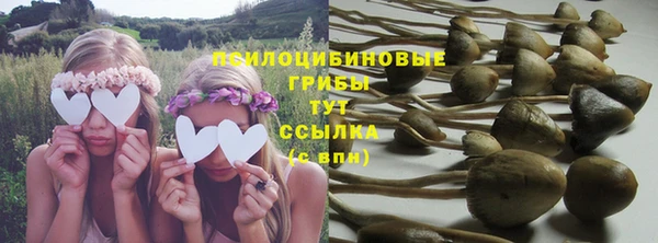 соль ск Балабаново