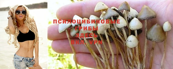соль ск Балабаново