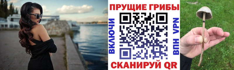 mega ссылки  Бобров  Галлюциногенные грибы мухоморы 
